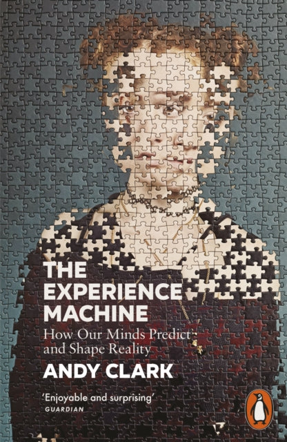 The Experience Machine : How Our Minds Predict and Shape Reality