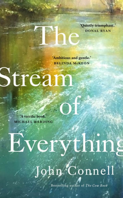 The Stream of Everything - 9780717194643