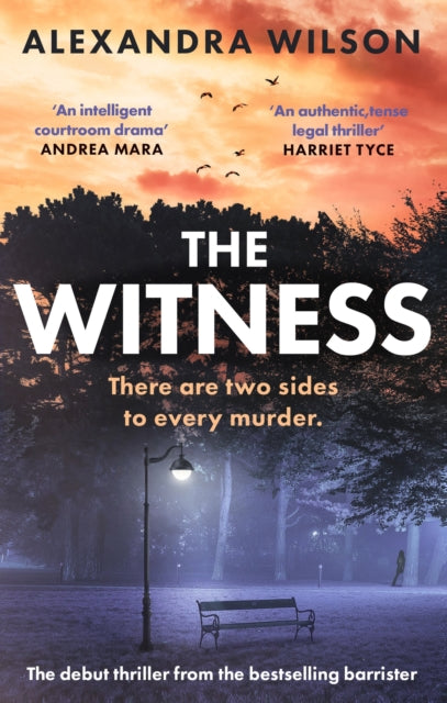 The Witness : The most authentic, twisty legal thriller, from the barrister author of In Black and White - 9780751583380