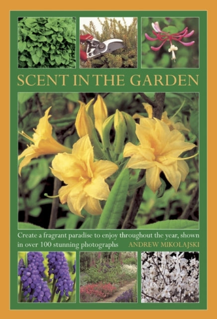 Scent in the Garden : Create a Fragrant Paradise to Enjoy Throughout the Year, Shown in 100 Stunning Photographs - 9780754827450