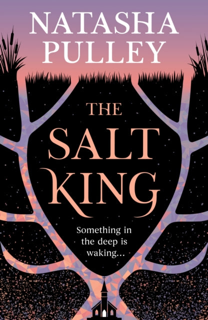 The Salt King : An end of the world thriller, packed with dazzling wit and romance