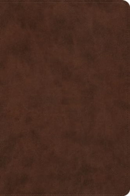 ESV Holy Bible : Dyslexia-Friendly Edition (TruTone, Brown) - 9781433598357