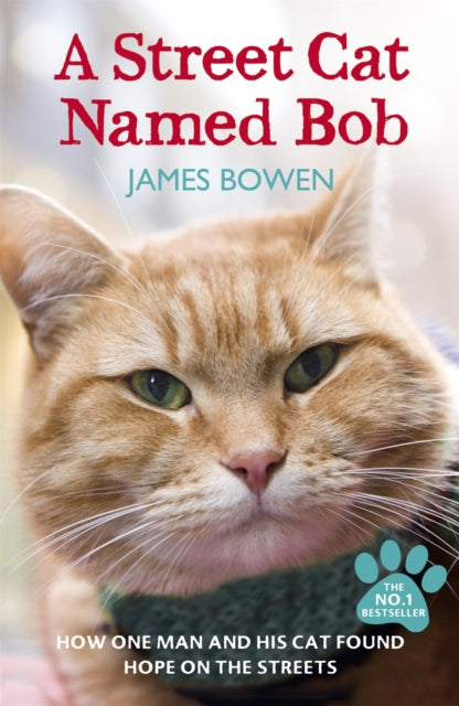 A Street Cat Named Bob : How one man and his cat found hope on the streets - 9781444737110