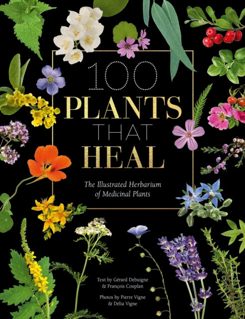100 Plants That Heal : The Illustrated Herbarium of Medicinal Plants - 9781446308776