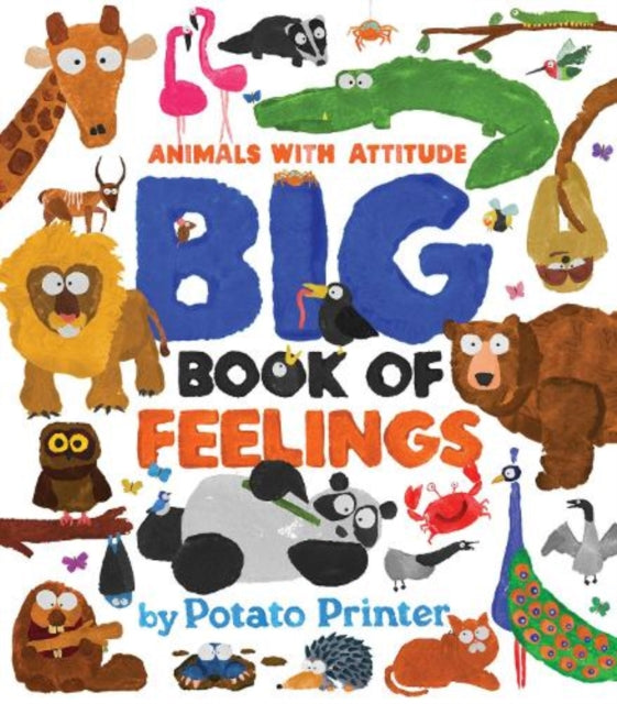 Big Book of Feelings - 9781454712206