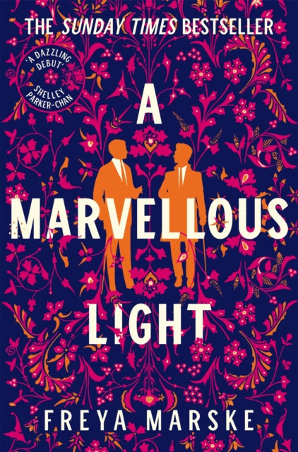 A Marvellous Light : a dazzling, queer romantic fantasy - 9781529080902