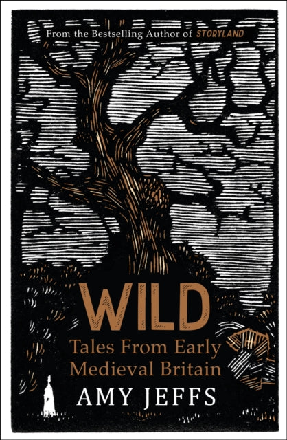 Wild : Tales from Early Medieval Britain from the Bestselling author of Storyland - 9781529424263