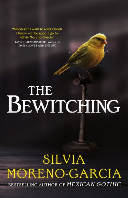 The Bewitching : folk horror meets dark academia in this thrilling supernatural mystery from the bestselling author of Mexican Gothic - 9781529441703