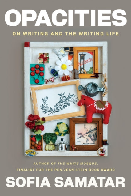 Opacities : On Writing and the Writing Life - 9781593767662