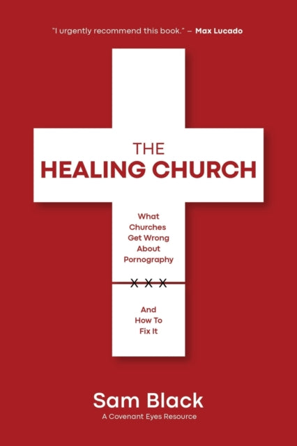 The Healing Church : What Churches Get Wrong about Pornography and How to Fix It - 9781636980256