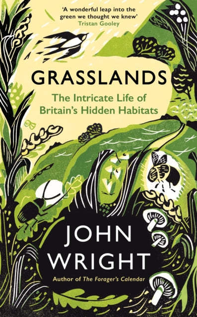 Grasslands : The Intricate Life of Britain's Hidden Habitats