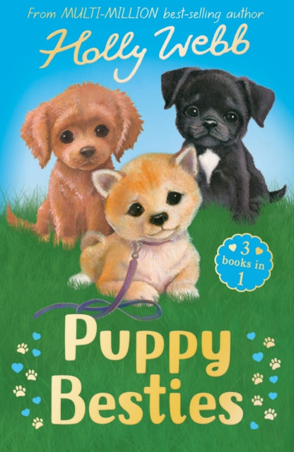 Puppy Besties : The Puppy Who Ran Away, The Puppy Who Couldn't Sleep, The Forgotten Puppy - 9781788957878