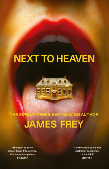 Next to Heaven : The PROVOCATIVE new novel from BESTSELLING author of A Million Little Pieces