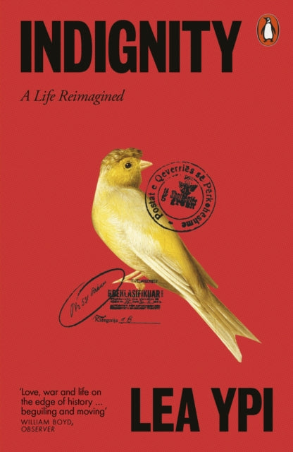 Indignity : A Life Reimagined