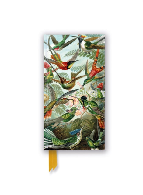 Ernst Haeckel: Hummingbirds (Foiled Slimline Journal) - 9781804179161