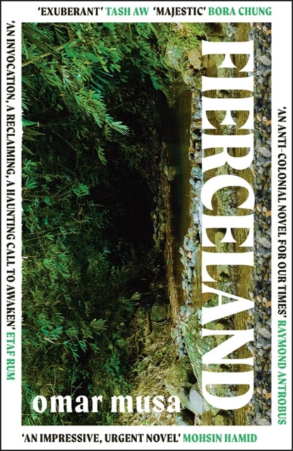 Fierceland : 'An impressive, urgent novel' Mohsin Hamid