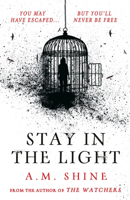Stay in the Light : the chilling sequel to hit horror novel THE WATCHERS - 9781804547953