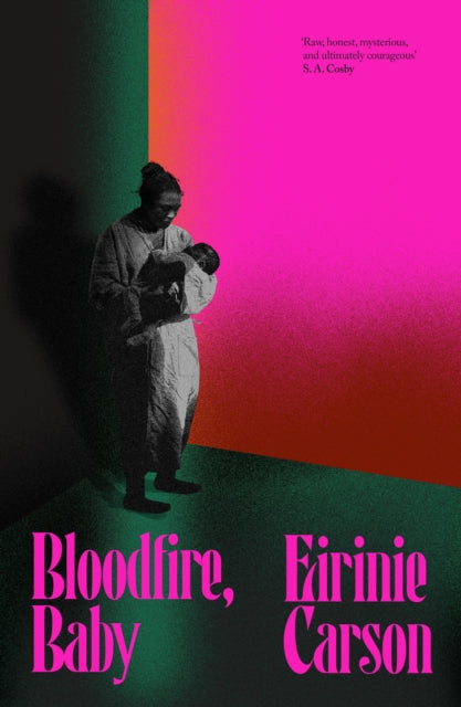 Bloodfire, Baby : a gothic tale about motherhood, ghosts and heritage