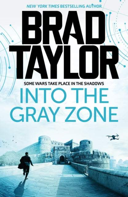 Into the Gray Zone - 9781837933358