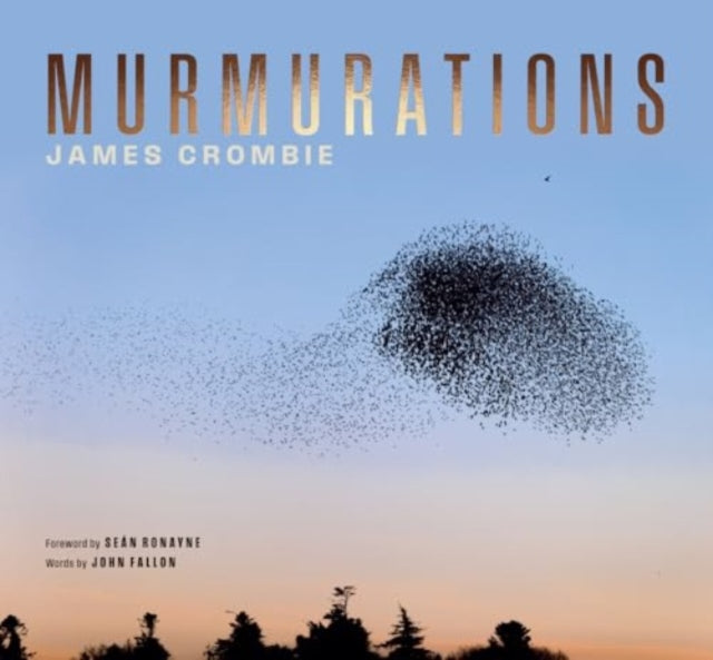 Murmurations - 9781843519119