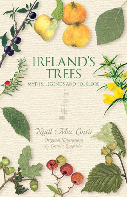 Ireland's Trees - 9781848892484