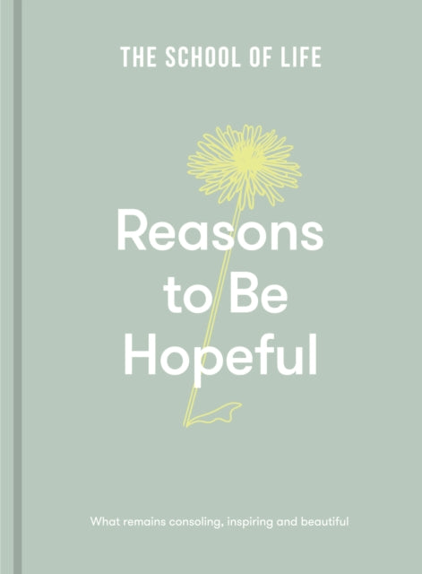 Reasons to be Hopeful : what remains consoling, inspiring and beautiful - 9781912891894