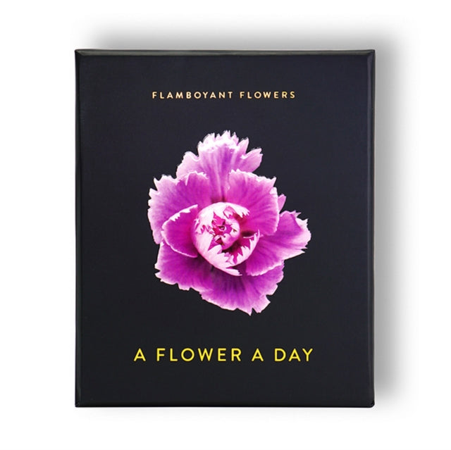 Flamboyant Flowers - 9783946688839