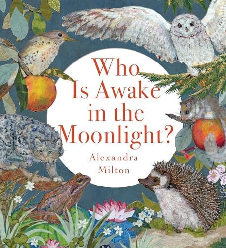 Who Is Awake in the Moonlight?, front cover