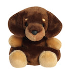 Palm Pals Houdini Dachshund 5in