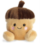 Palm Pals Oak Acorn 5in