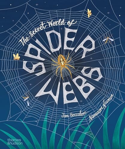 The Secret World of Spider Webs, front cover