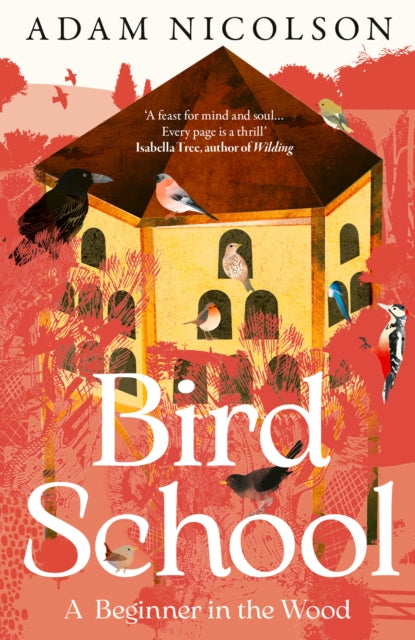 Bird School : A Beginner in the Wood