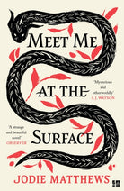 Meet Me at the Surface - 9780008585051