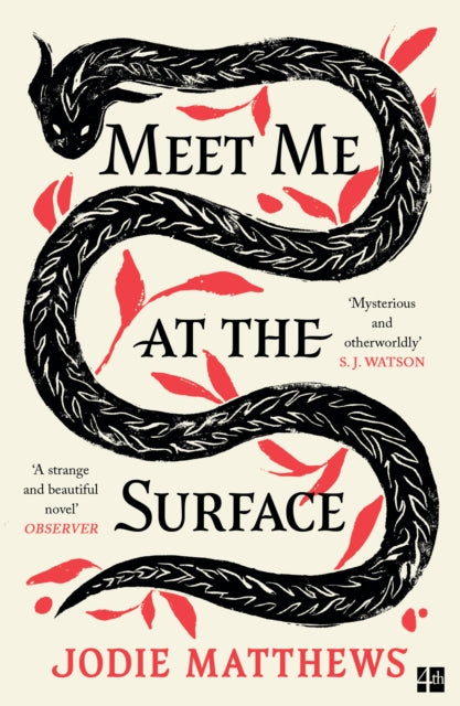 Meet Me at the Surface - 9780008585051