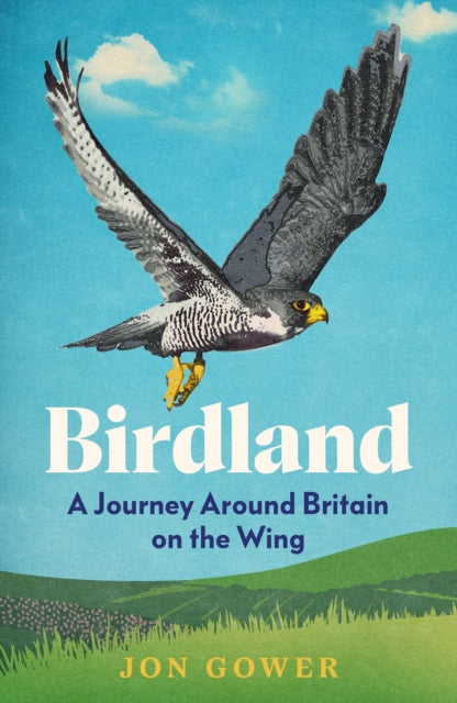 Birdland : A Journey Around Britain on the Wing - 9780008688189