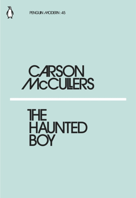 The Haunted Boy - 9780241339503