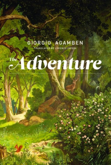 The Adventure - 9780262037594