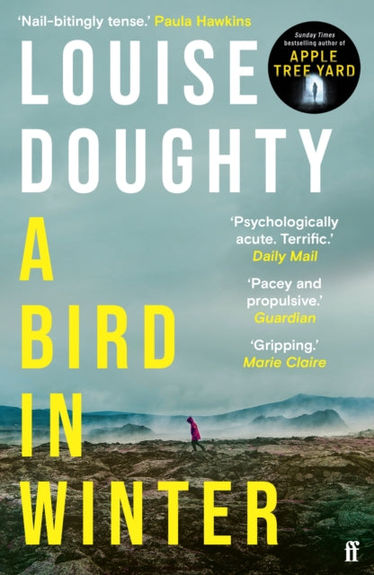 A Bird in Winter : 'Nail-bitingly tense and compelling' Paula Hawkins - 9780571322190