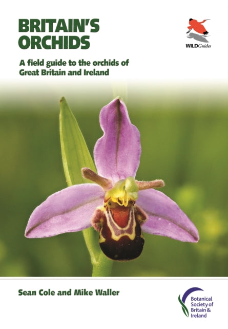 Britain's Orchids : A Field Guide to the Orchids of Great Britain and Ireland - 9780691177618
