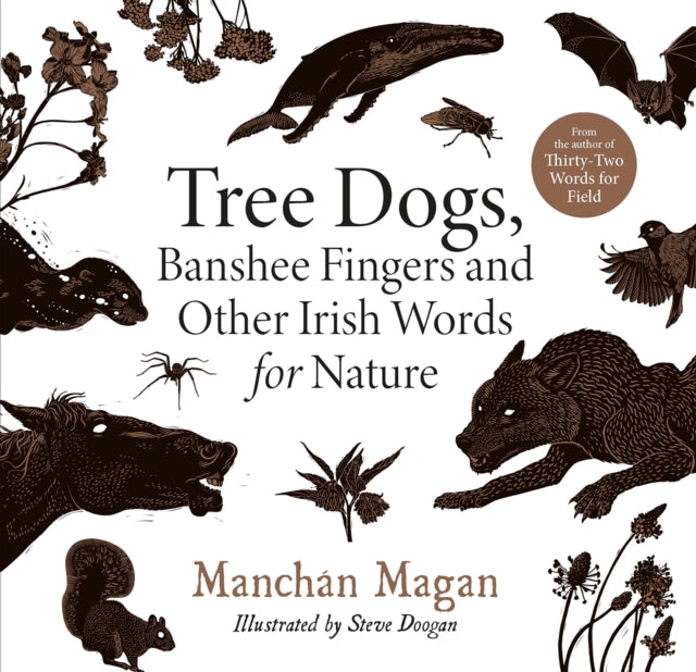 Tree Dogs, Banshee Fingers and Other Irish Words for Nature - 9780717192557