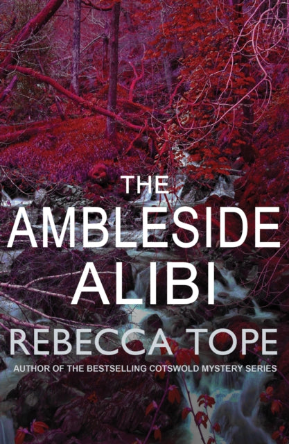 The Ambleside Alibi : The gripping English cosy crime series - 9780749022600