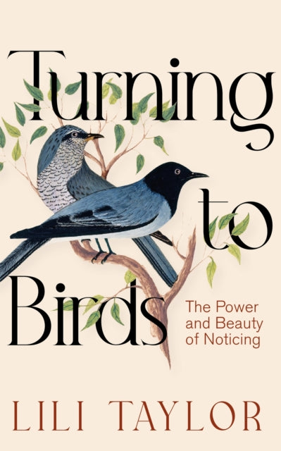 Turning to Birds : The Power and Beauty of Noticing - 9781035039999