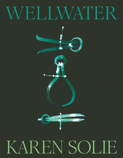 Wellwater - 9781035048182