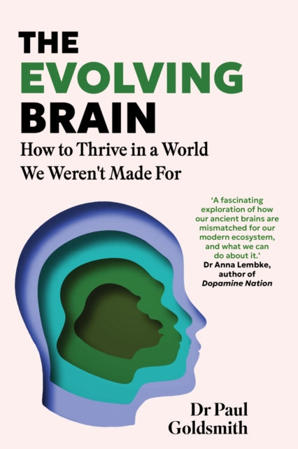 The Evolving Brain : A 'fascinating, accessible' guide to thriving in a world our brains weren't made for