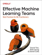 Effective Machine Learning Teams : Best Practices for ML Practitioners - 9781098144630