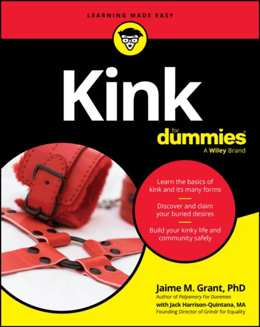 Kink For Dummies - 9781394353248