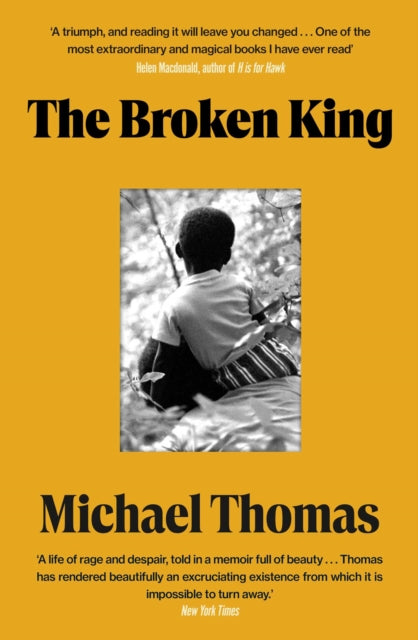 The Broken King : 'An Extraordinary Read' Guardian