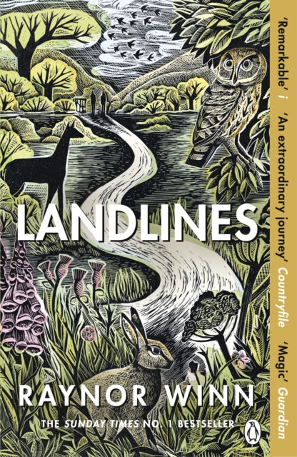 Landlines - 9781405947787