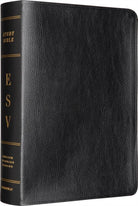 ESV Study Bible - 9781433502453