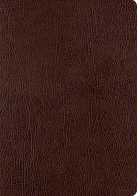 ESV Single Column Journaling Bible, Large Print - 9781433555381